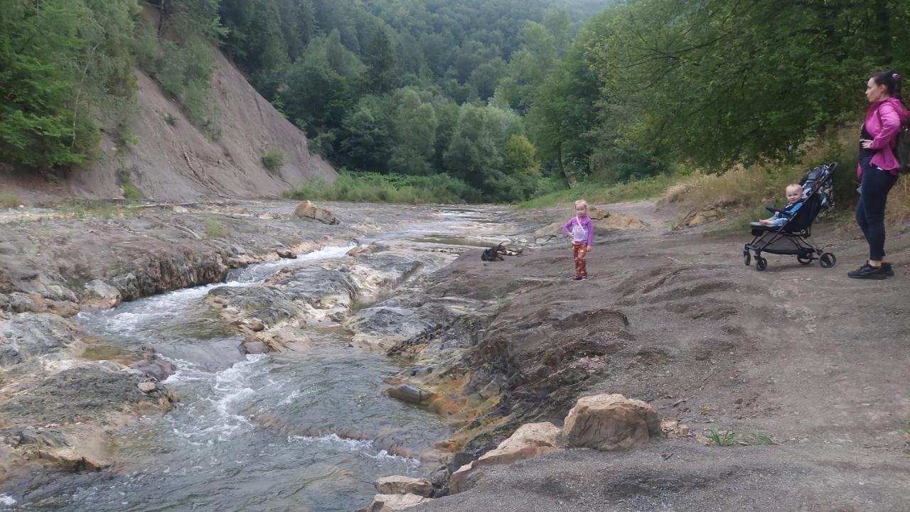 Садиба Федорчуків За Рікою Sheshory Εξωτερικό φωτογραφία